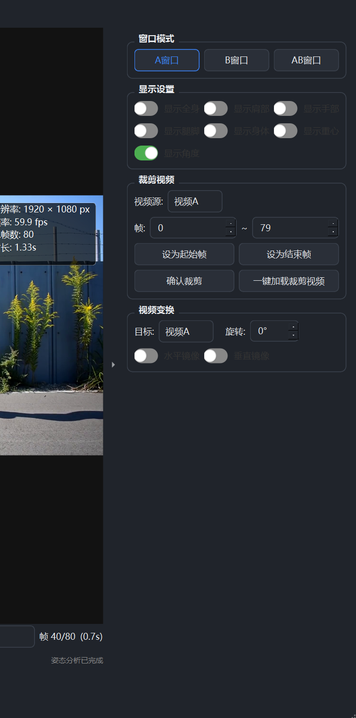 显示设置面板：骨架、点位、轨迹的显示随心开关，按身体部位独立控制